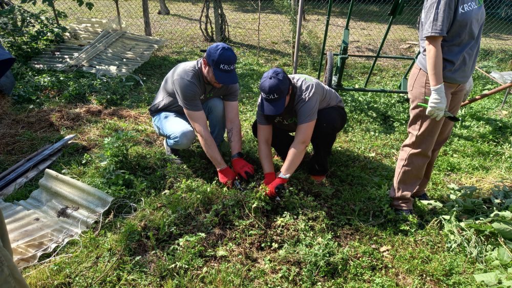 Il CSV ha assunto un ruolo di facilitatore e innovatore, promuovendo forme di collaborazione virtuose tra mondo profit e non profit.